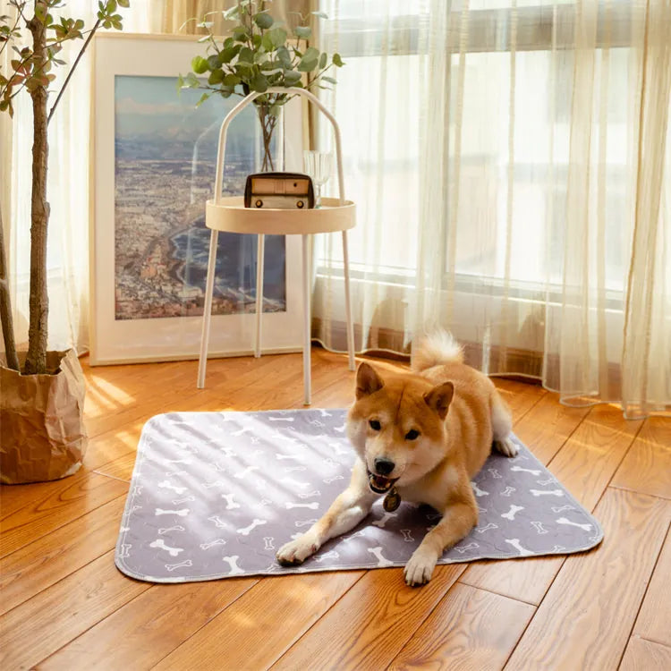 PeePad™ - Tapis pour pipi de chiens