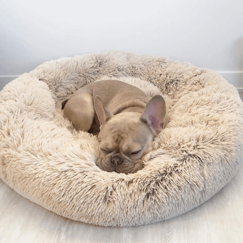 Cloud™ - Lit douillet pour chien