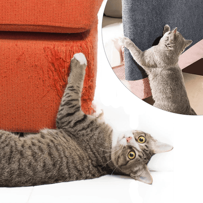 Scratchicat - Protection efficace contre les rayures pour vos meubles et murs