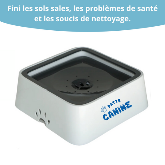 Gamelle Anti-Splash - Patte Canine®